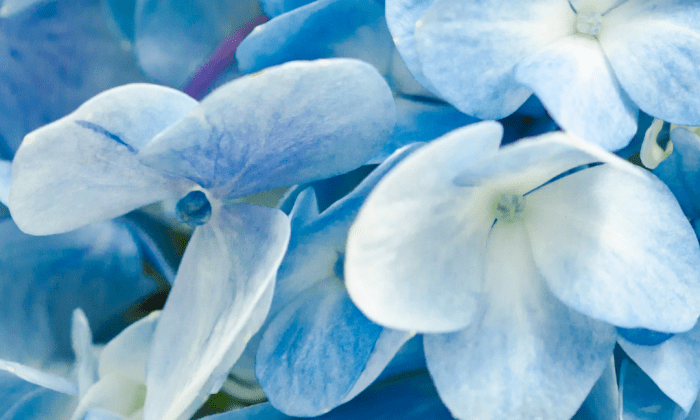 Exchange: from transaction to alignment