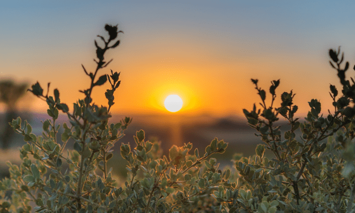 An Easter story – From separation to self-remembrance