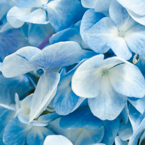 When exchange is aligned