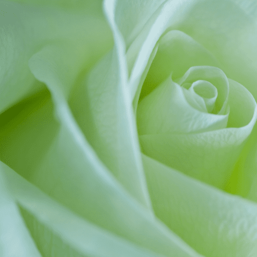 Returning to Source | Focused Intention