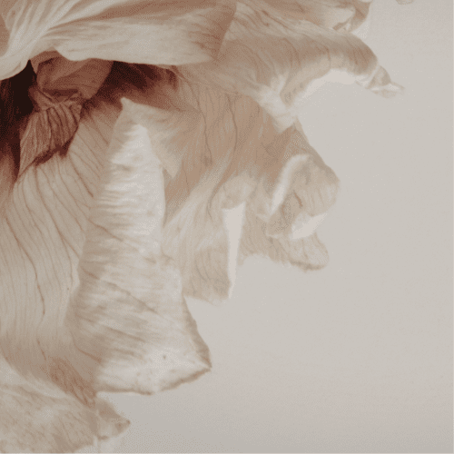 Prayer for endless Divine support in these times of transition