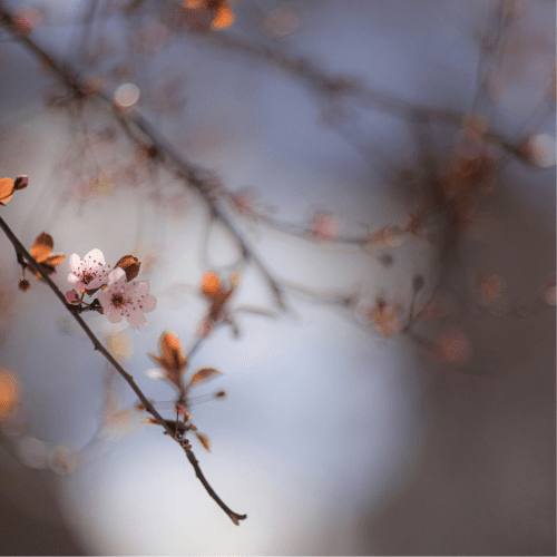 Alignment ís the 'work'