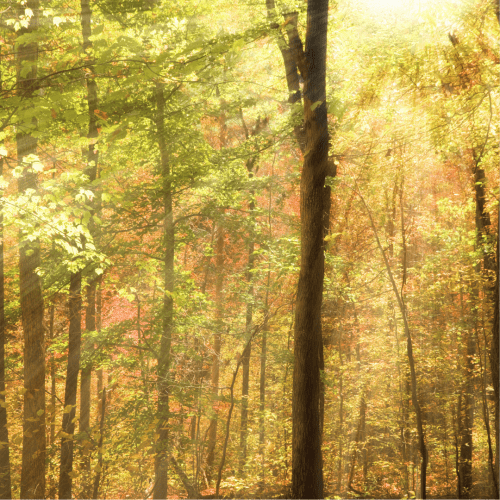 The moment of choice