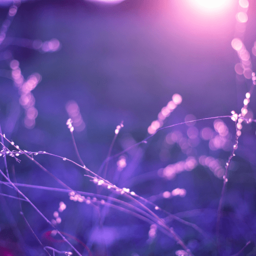 Creëren vanuit authenticiteit